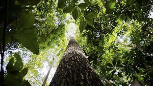 Reprodução/Agência Brasil