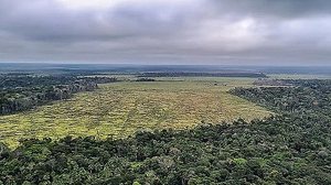 Policia Federal/Divulgação