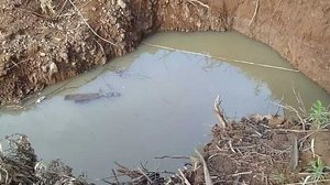 Os irmãos foram encontrados mortos pelo pai dentro da fossa | Divulgação / PMSC