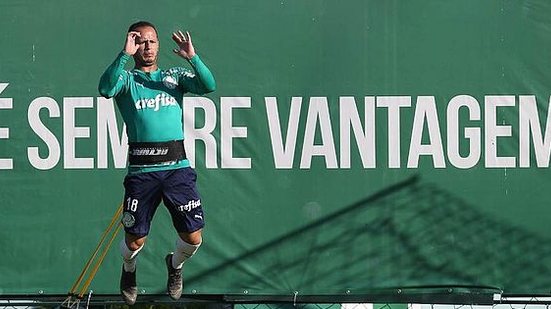 Cesar Greco / Ag. Palmeiras