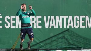 Cesar Greco / Ag. Palmeiras