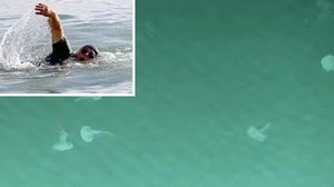 Arquivo Pessoal / Ricardo Duarte