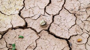 Municípios paraibanos decretam estado de emergência | Pexels