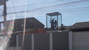 Reprodução/Twitter