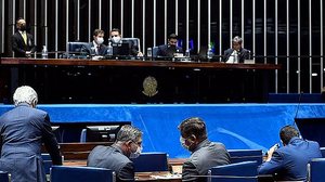 Roque de Sá / Agência Senado / Reprodução