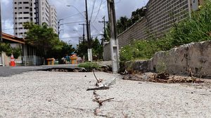 Situação do Pinheiro foi tema de reunião na Ademi | TNH1 / Arquivo