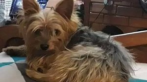 Augusto Xavier/Arquivo Pessoal