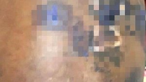 Imagem Fazendeiro que socorreu criança espancada diz que não desconfiava da violência do padrasto