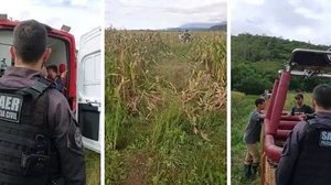 Sarasul / Divulgação