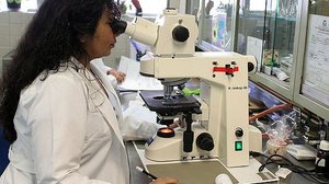 @ernestoeslava/ Pixabay