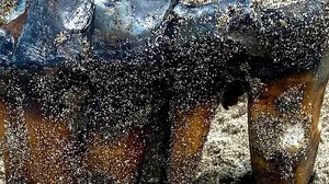 Foto: Reprodução/Redes Sociais