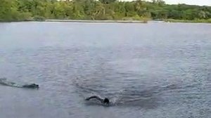 Willyan Caetano / Arquivo Pessoal