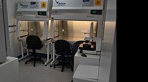 Marcelo Duzzioni/Ufal