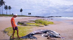 Arthur de Souza/Folha-PE