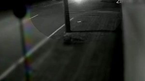 Imagem Motociclista morre ao atingir fios de energia derrubados por caminhão segundos antes; vídeo