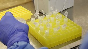 Josué Damacena - IO