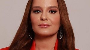 Aeronave se chocou com um pássaro logo após a decolagem | Foto: Reprodução/Instagram