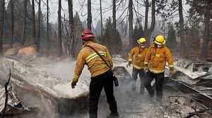 © Terray Sylvester/Reuters