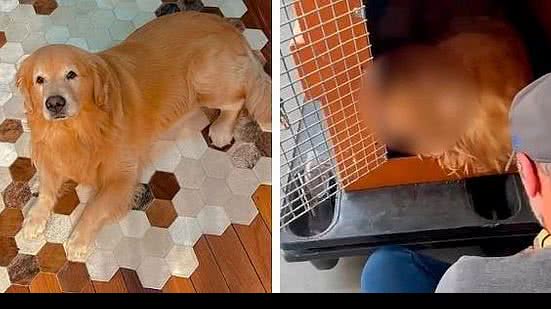 Reprodução / Instagram