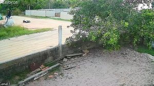 Reprodução / TV Gazeta