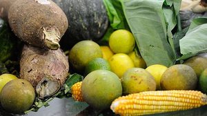 Fernando Frazão/Agência Brasil