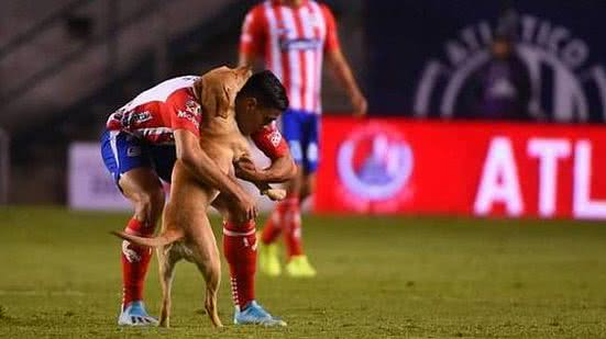 Divulgação/Razões Para Acreditar