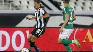 Vitor Silva/Botafogo