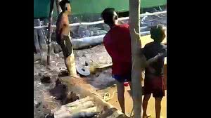 Foto: Reprodução/URIHI