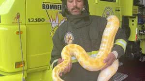 Divulgação / Corpo de Bombeiros