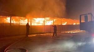 Imagem Incêndio destrói aviário com 90 mil aves no Espírito Santo