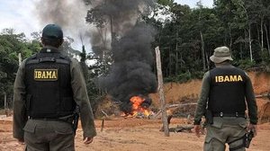 Foto: Divulgação/Ibama