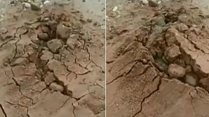 Reprodução / Vídeo