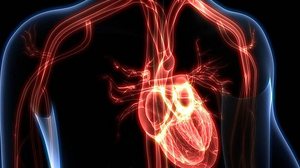 Imagem Coronavírus: cardiologista alerta que doença pode comprometer a saúde do coração