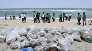Marcos Brandão/Senado Federal