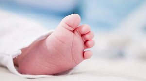 Foto: Reprodução/Freepik