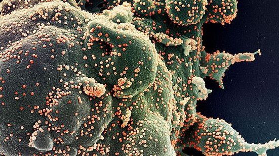 Imagem Goiás confirma primeiros casos da ômicron; pacientes não foram ao exterior