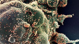 Imagem Goiás confirma primeiros casos da ômicron; pacientes não foram ao exterior