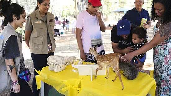 Antonio Cruz/ Agência Brasil