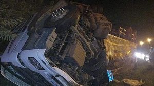 Reprodução / Metrópoles