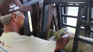 Reprodução/Ascom Adeal