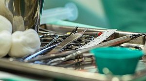 Foto: Reprodução/Pixabay