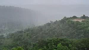 Foto: Theo Chaves/TNH1