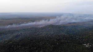 Divulgação/Brigada de Alter do Chão