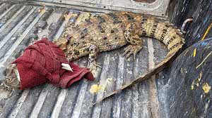 Ascom/Prefeitura de Iguaba Grande