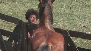 Foto: Reprodução / Record TV