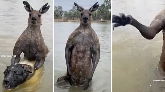 Reprodução / Redes sociais