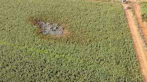 Marlon Henrique/TV Anhanguera