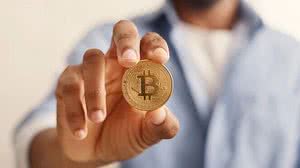 Foto: Reprodução/Evanto Elements