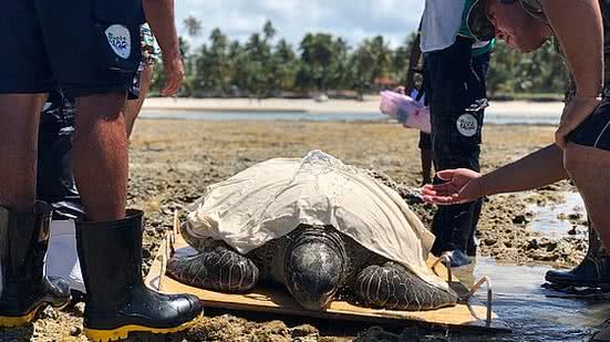 Divulgação/Instituto Biota