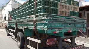 Imagem Carga irregular com 1.300 frangos é apreendida e motorista é preso